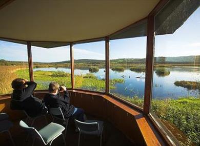 RSPB Leighton Moss Nature Reserve.