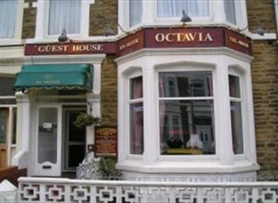 Octavia Guest House