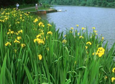 None