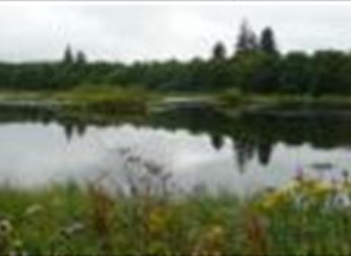 Fishery