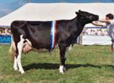 Garstang Agricultural Show
