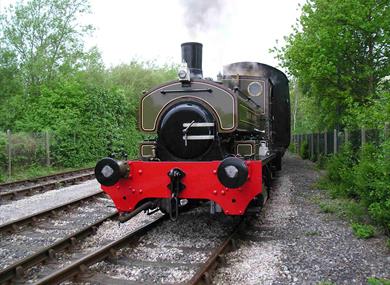 Thumbnail for STEAM GALA