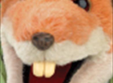 Thumbnail for BASIL BRUSH'S HIGH SCHOOL MANIA