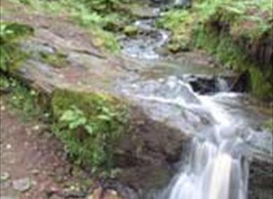 Thumbnail for Fairy Glen