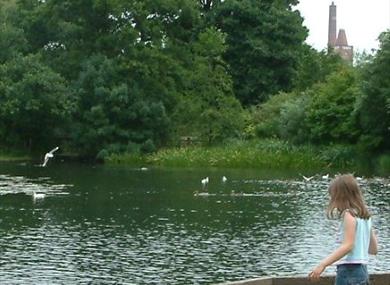 Thumbnail for Haslam Park