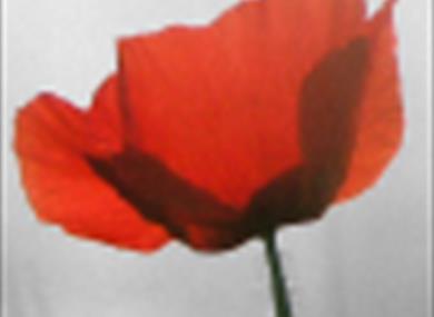Thumbnail for OH WHAT A LOVELY WAR