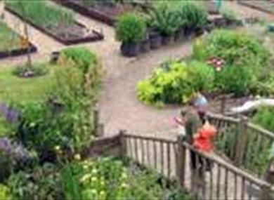 Thumbnail for Inside the Walled Garden