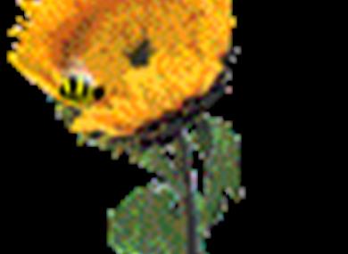 Thumbnail for Pimbo Garden Centre