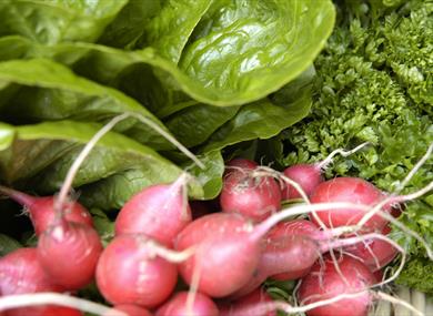 Thumbnail for Colne Farmers' Market