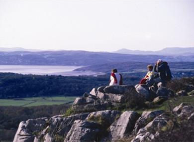 Thumbnail for Warton Crag & RSPB Nature Reserve