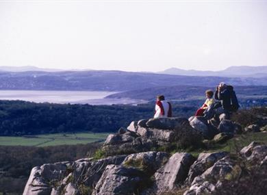 Thumbnail for Warton Crag