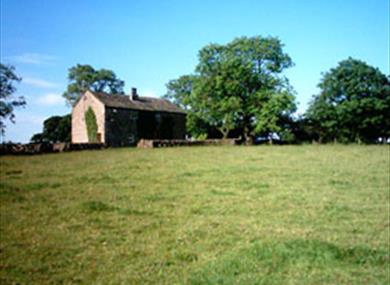 Thumbnail for Tewit and Badger Cottages