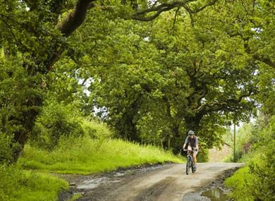 Thumbnail for Beacon Fell Round Cycle Ride