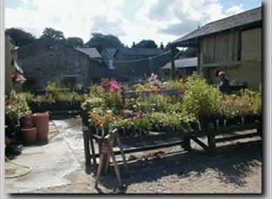 Thumbnail for Barn Plant Centre and Gift Shop