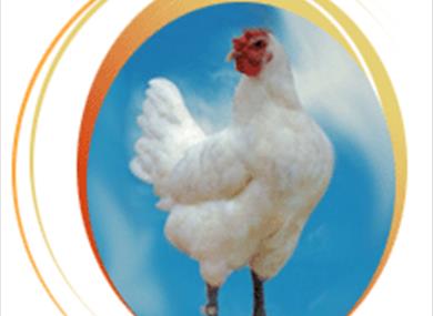 Thumbnail for Ellel Free Range Poultry Company