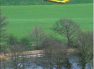 Thumbnail for Forrest Hills Golf Club and Fly Fishery