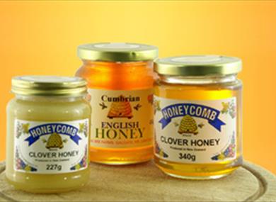 Thumbnail for Honeycomb Company Ltd