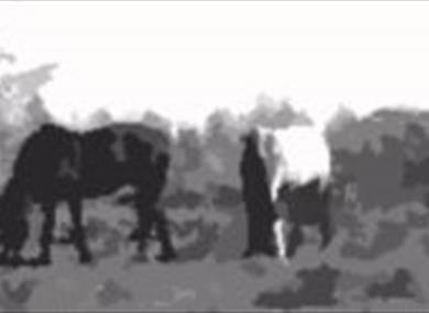 Thumbnail for Only Foals & Horses