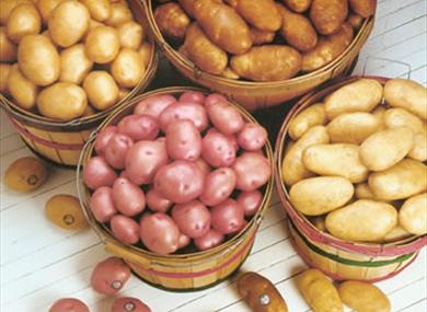 Thumbnail for D&G Jolleys Potatoes