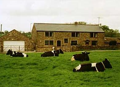 Thumbnail for Raikes Barn