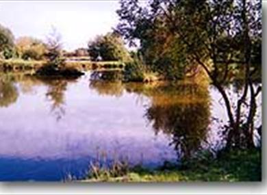 Thumbnail for Redwell Fisheries, Carnforth