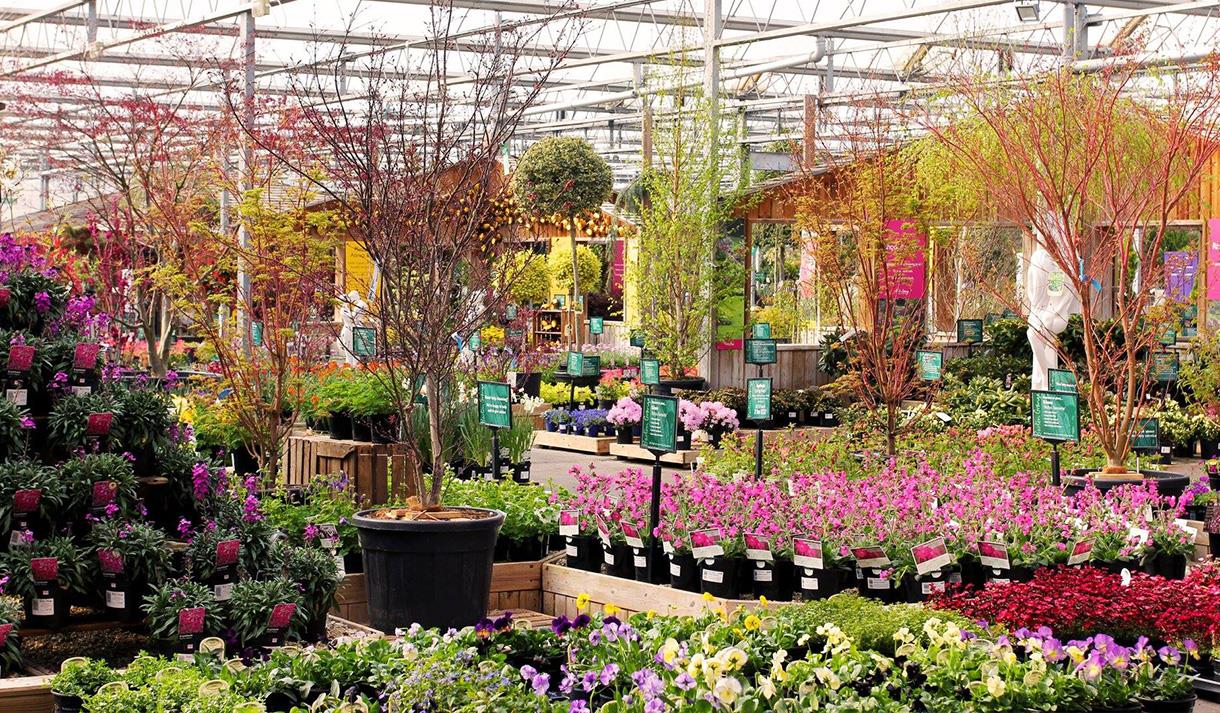 Barton Grange Garden Centre - Garden Centre in Brock, Garstang - Visit